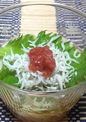 梅とシラスのさっぱり☆そうめん-レシピのメイン写真