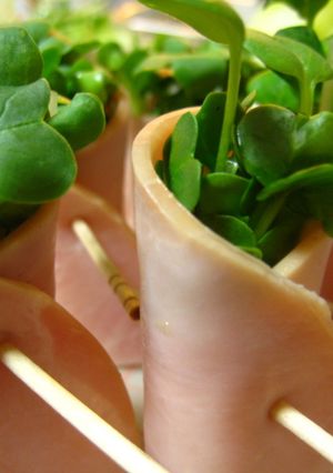 ハムとカイワレの森-レシピのメイン写真