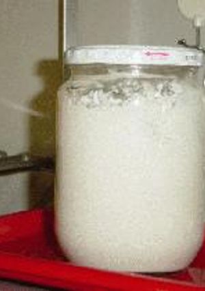 Sourdough Starter☆サワードゥスターター-レシピのメイン写真