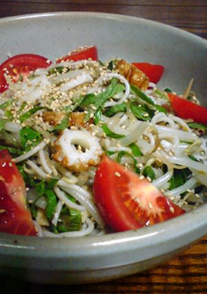 もやしと残り物の蕎麦orそうめんのサラダ-レシピのメイン写真