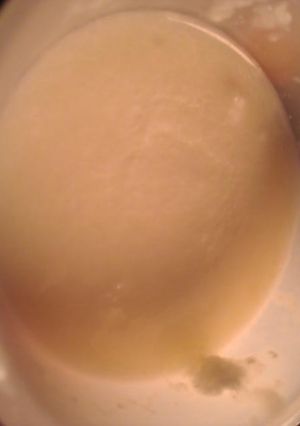 牛乳とクリーミングパウダーのバニラアイス-レシピのメイン写真