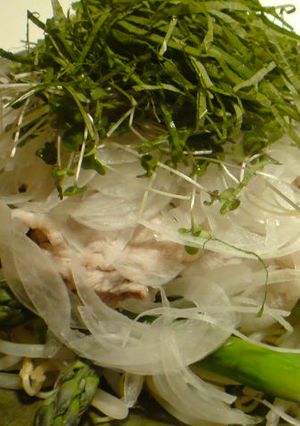 鉄板!豚の冷しゃぶサラダ☆-レシピのメイン写真