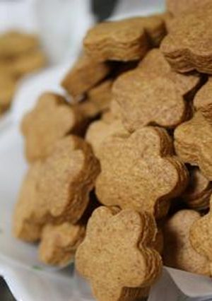わんこと一緒に、きなこクッキー-レシピのメイン写真