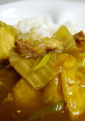 厚揚げと白菜のカレー-レシピのメイン写真