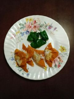 ワンタンの揚げ物-レシピのメイン写真