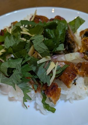 さっぱり!!鰻ちらし-レシピのメイン写真
