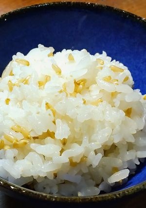 艶と粘りがでる!美味しい発芽燕麦入りご飯-レシピのメイン写真