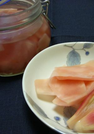 新しょうがとみょうがのサワー漬-レシピのメイン写真