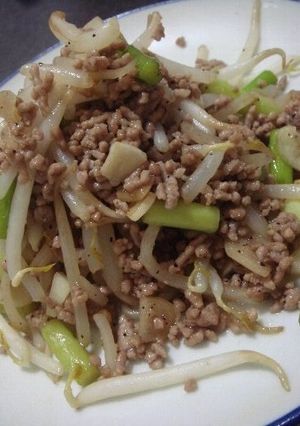 ☆もやしとひき肉の炒め物☆-レシピのメイン写真