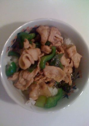 困った時の塩豚丼-レシピのメイン写真
