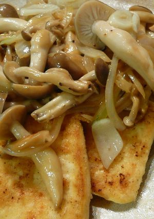 ただのアレで本格豆腐ステーキ-レシピのメイン写真