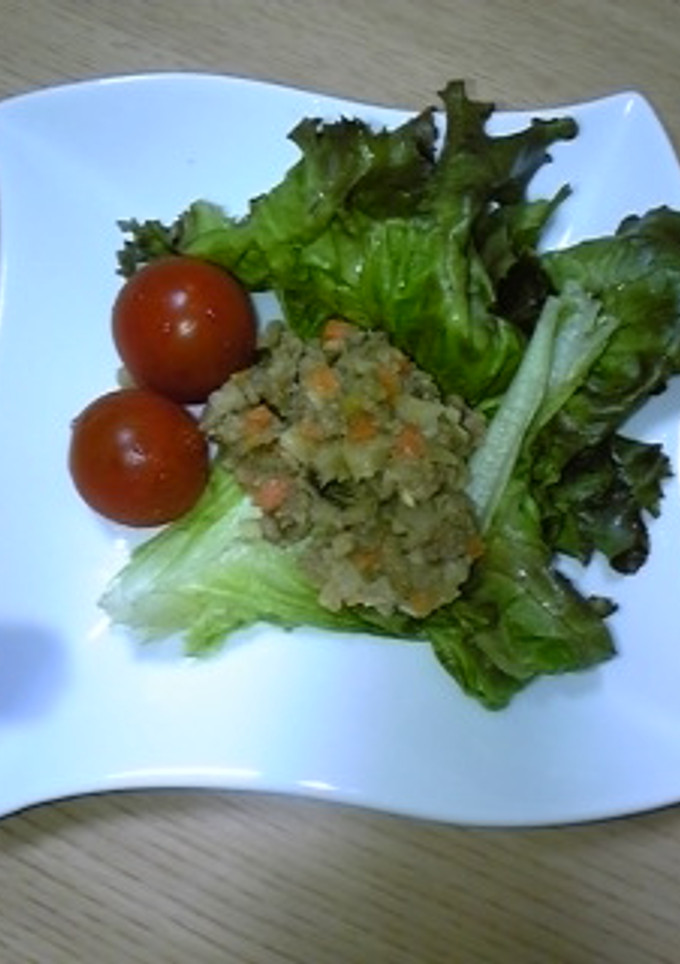 野菜たっぷり♪挽き肉炒め-レシピのメイン写真