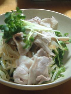 もやしの冷しゃぶサラダ-レシピのメイン写真