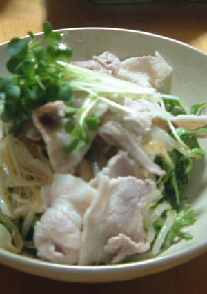 もやしの冷しゃぶサラダ-レシピのメイン写真