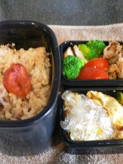 焼肉の味◎牛肉こんにゃく炒め弁当-レシピのメイン写真