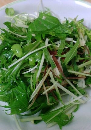 簡単♪水菜を使った万能薬味-レシピのメイン写真