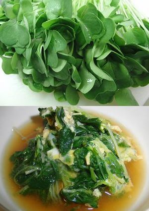 つまみ菜(まびき菜)の卵とじ-レシピのメイン写真