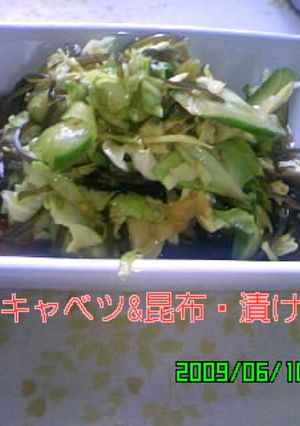 キャベツ&昆布和え-レシピのメイン写真