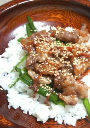 肉きんぴら丼-レシピのメイン写真
