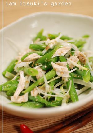 いんげんと蒸し鶏のサラダ-レシピのメイン写真