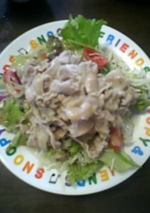 お手軽簡単昼ごはん・冷しゃぶうどん-レシピのメイン写真
