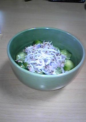 きゅうりの漬物としらすのサッパリ丼☆-レシピのメイン写真