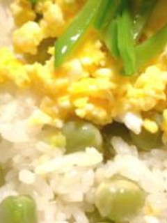 えんどう豆のご飯。炒り卵のっけ。-レシピのメイン写真