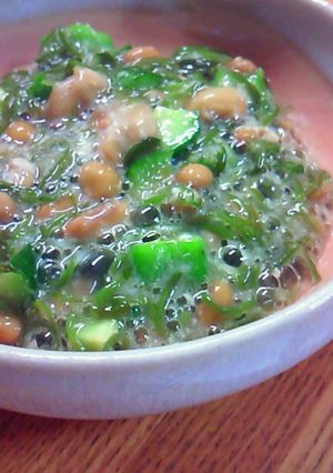 朝ご飯に☆おつまみに☆オクラめかぶ納豆-レシピのメイン写真