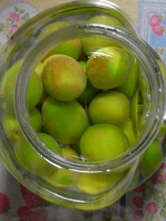 超簡単梅ジュースと梅酒-レシピのメイン写真