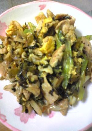 豚と高菜の炒め物〜☆-レシピのメイン写真