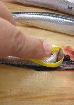 ✿必見✿小魚を簡単に3枚におろす方法-レシピのメイン写真