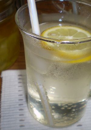 生姜のサワードリンク-レシピのメイン写真