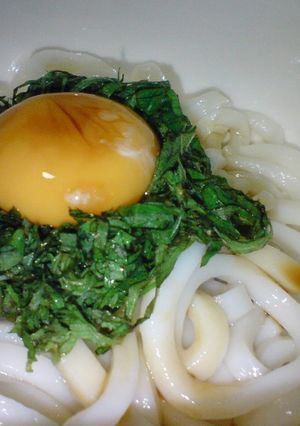大葉卵のっけうどん-レシピのメイン写真