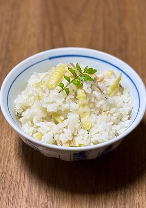ネマガリダケとジャコの炊き込みご飯-レシピのメイン写真