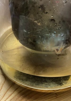 よもぎ茶-レシピのメイン写真