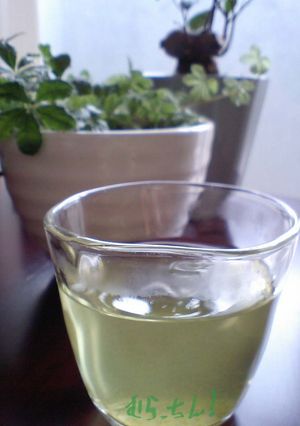 レモングラス緑茶-レシピのメイン写真