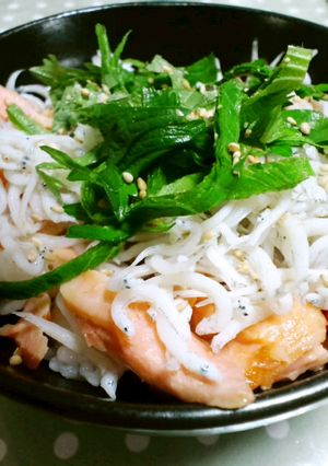 超かんたん♪鮭としらすの３色丼-レシピのメイン写真