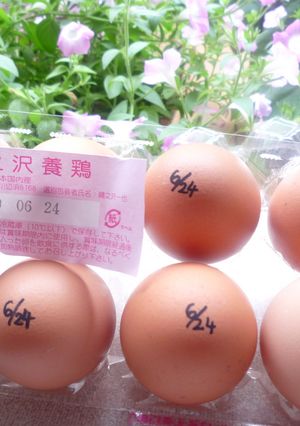 ☆ＥＣＯ！！たまごの保存☆-レシピのメイン写真