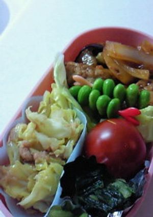 シーチキンｐｌｕｓとキャベツ炒め-レシピのメイン写真