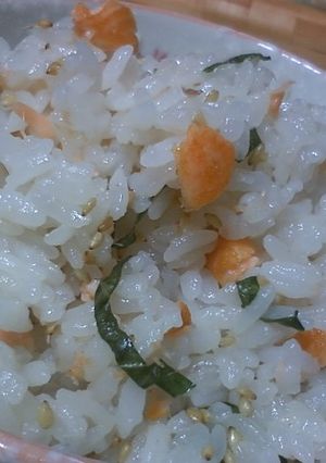 ☆鮭ごはん☆-レシピのメイン写真