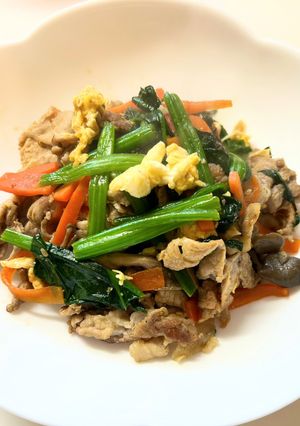 豚肉とほうれん草の炒めもの-レシピのメイン写真