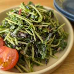 A picture of 激旨豆苗とひじきのサラダ.