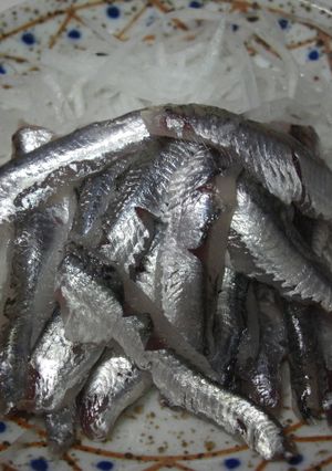 こいわしのお造り ~旬の味~-レシピのメイン写真
