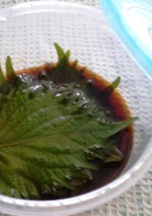 青ジソの醤油漬け-レシピのメイン写真