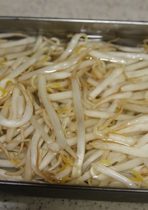 もやしの保存方法　シャキシャキになるよ-レシピのメイン写真