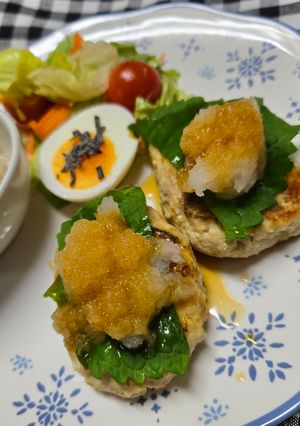 豆腐ハンバーグ-レシピのメイン写真