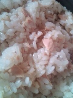超簡単♪お弁当にツナの混ぜご飯-レシピのメイン写真