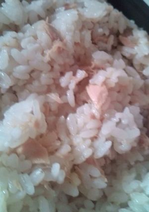超簡単♪お弁当にﾂﾅの混ぜご飯-レシピのメイン写真