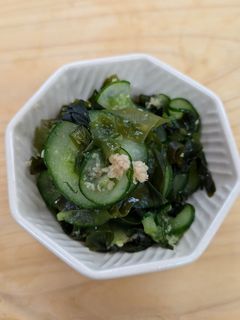 きゅうりとわかめの発酵生姜酢の物-レシピのメイン写真