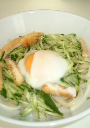 夏のお昼に♪冷たいうどん-レシピのメイン写真